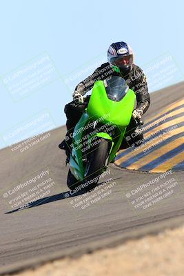 media/Feb-12-2022-SoCal Trackdays (Sat) [[3b21b94a56]]/Turn 12 (140pm)/